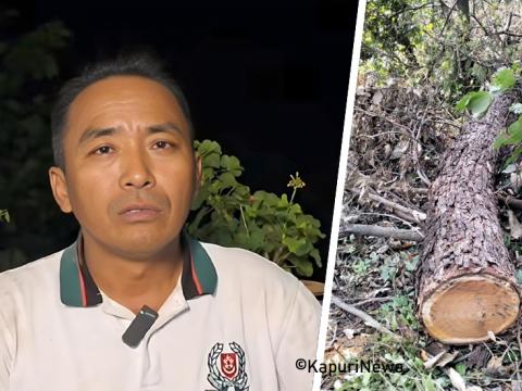 धनबहादुर राईले खयरको रुख काटे पनि वडाध्यक्ष भएकै कारण वनको कारबाही अघि बढेको छैन